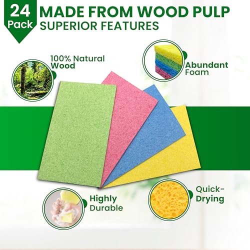 Cellulose Sponges