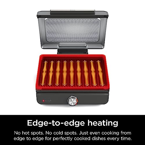 Griddle and Indoor Grill