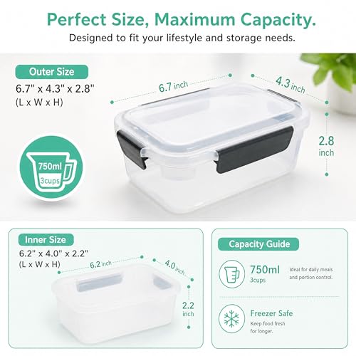 Bpa Free Nestable Food Storage Containers with Lids