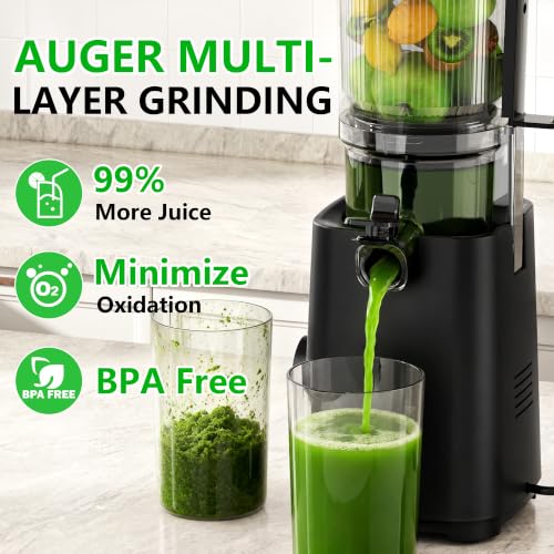 Cold Press Juicer