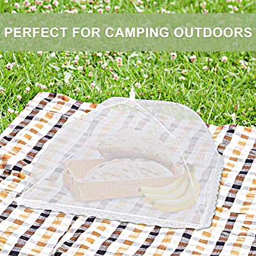 Food Covers Pop