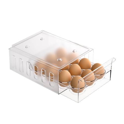 Clear Plastic Egg Container for Refrigerator