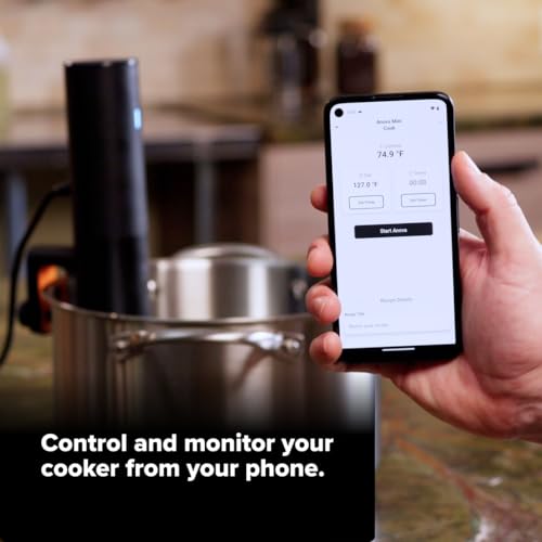 Sous Vide Precision Cooker Mini (Mini / Black)
