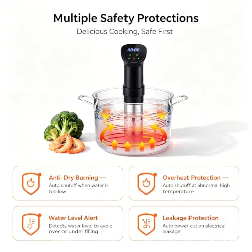 WiFi Sous Vide 1100W 220V (220V)