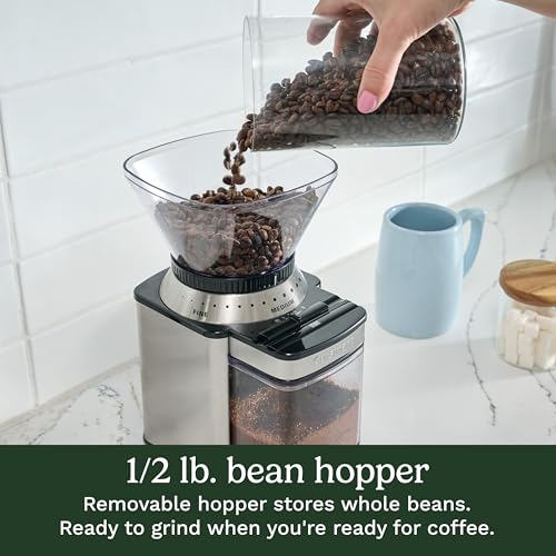 Electric Burr Coffee Grinder (Burr Mill / Stainless Steel)