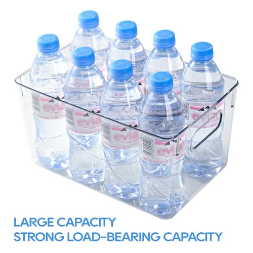 Clear Plastic Storage Bins