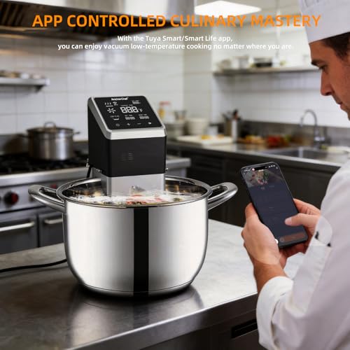 Immersion Circulator