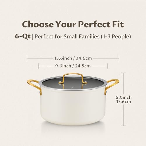Stock Pot with Lid