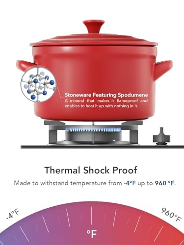 3 Quart Ceramic Dutch Oven