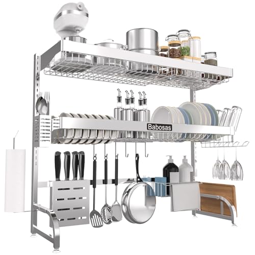 Over The Sink Dish Drying Rack (Silver)