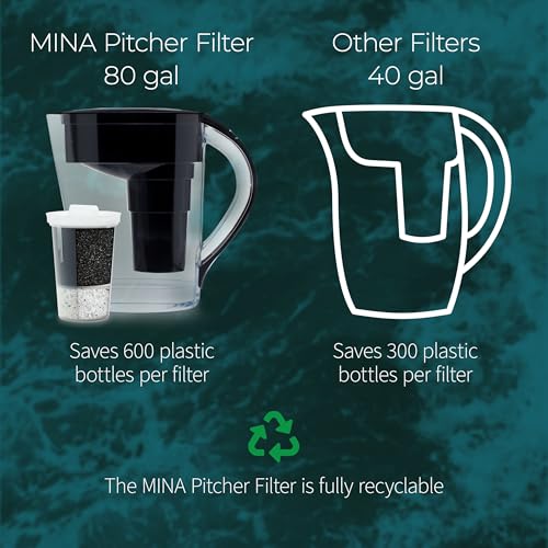 Alkaline Pitcher