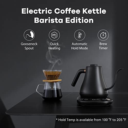 Electric Kettle Gooseneck Kettle Temperature Control