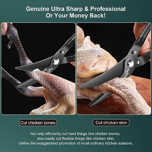 Premium Kitchen Shears Heavy Duty