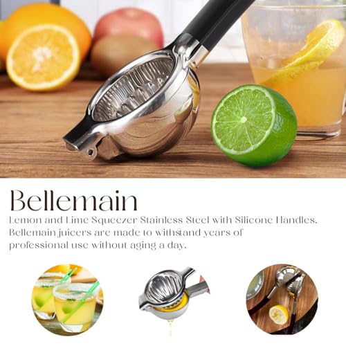 Citrus Juicer