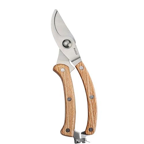 Pruning Scissors