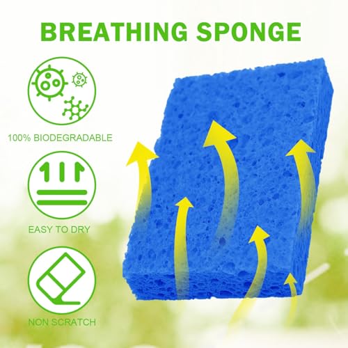 Sponges Kitchen Natural Compressed Cellulose Sponges Durable Dish Sponge for Cleaning & DIY for Kids Reusable