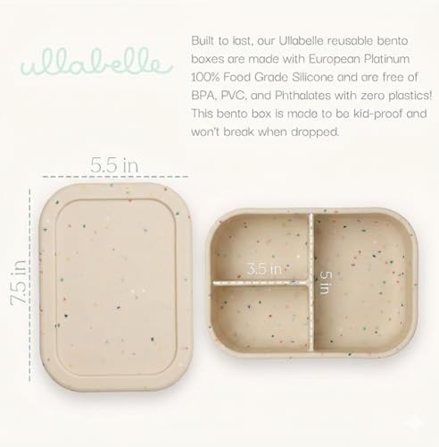 Silicone Bento Lunch Box for Kids