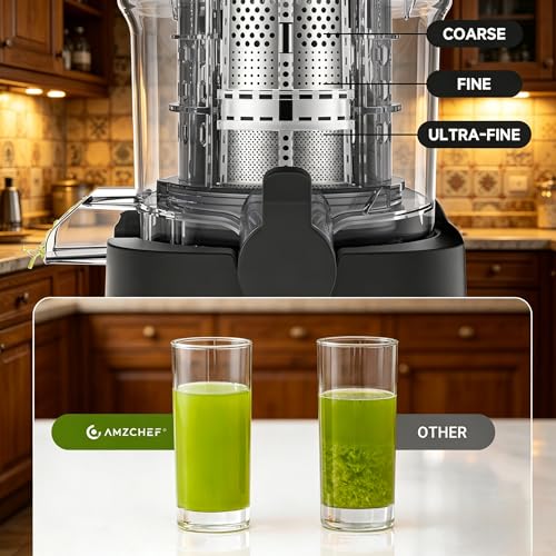 Cold Press Juicer