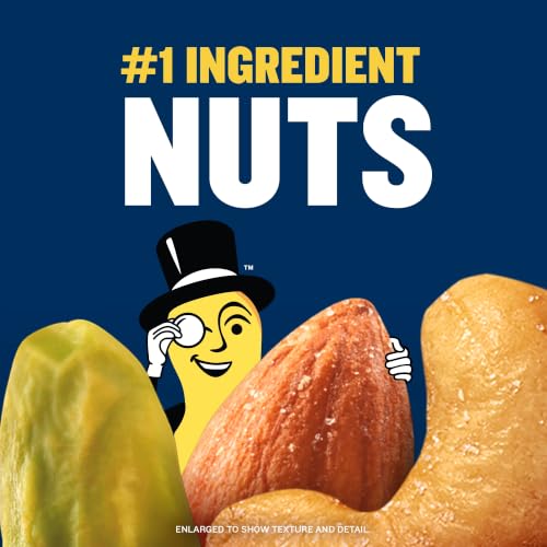 Salted & Dry Roasted Pistachios