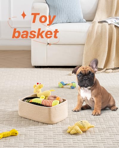 Small Woven Storage Basket for Organizing