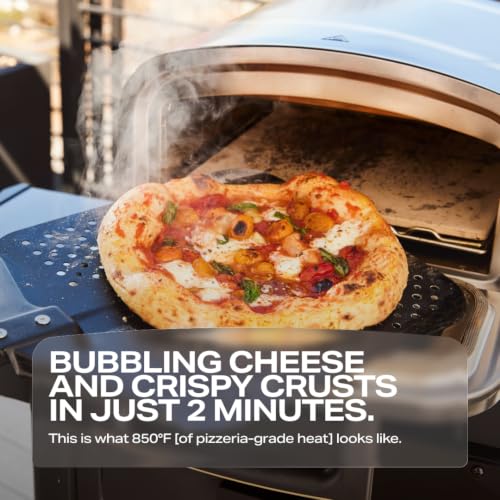 Model P Smart Pizza Oven