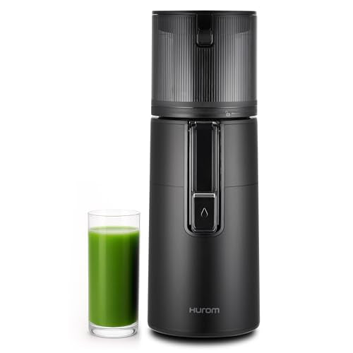 H400 Easy Clean Slow Juicer