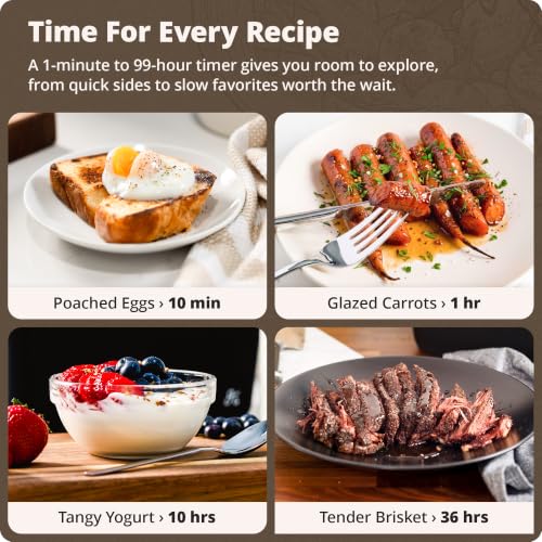 Sous Vide Cooker (Birch White)
