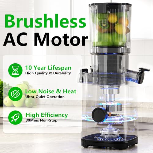 Cold Press Juicer