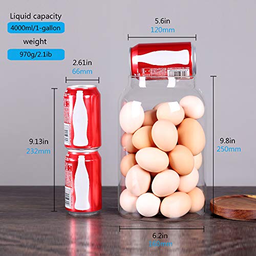 Large Glass jars