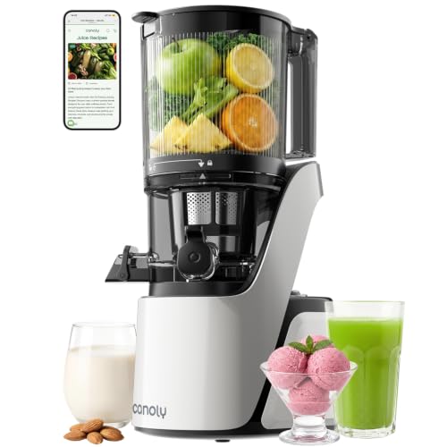C16 Cold Press Juicer