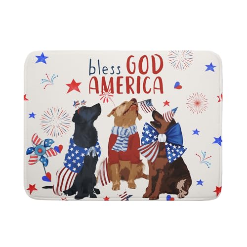 Dish Drying Mat Dishes Pad Absorbent Fast Dry Dish Drainer Mat Protector for Kitchen Counter…
