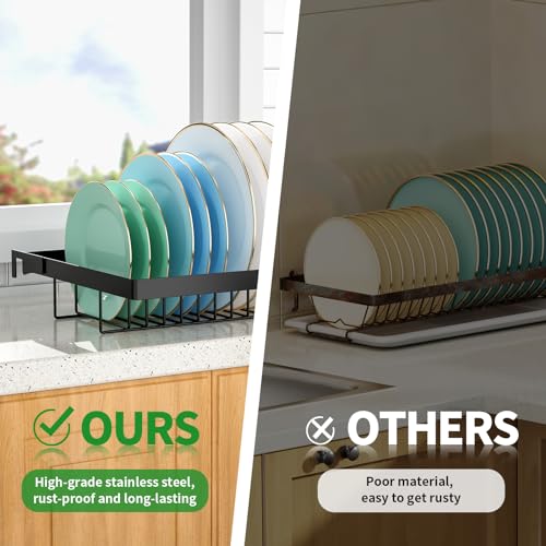 Over The Sink Dish Drying Rack (Black-expandable,2 Tier)
