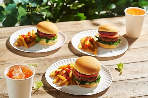 500 Pack Uncoated Paper Plates 9 Inch