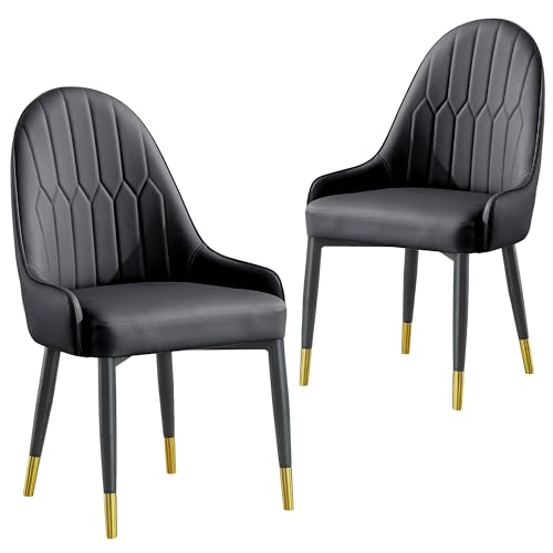 Dining Chairs Set of 2 with High Backs