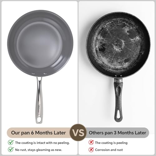 Skillet Ceramic Nonstick Frying Pans (11in / Ash Grey)