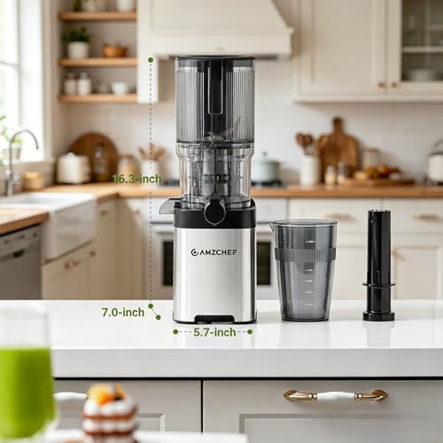 Cold Press Juicer