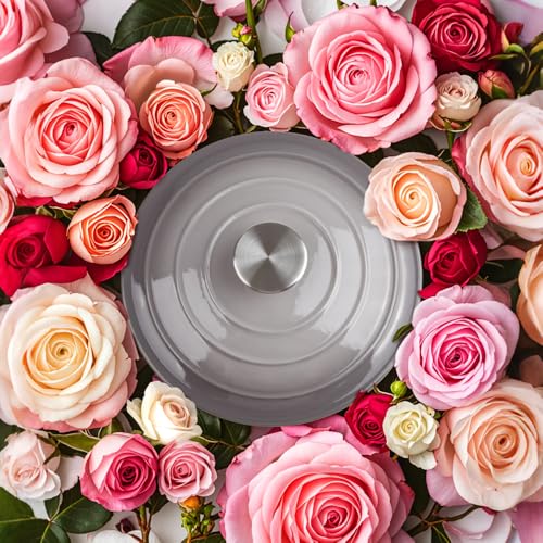 6 Quart Dutch Oven Enameled Cast Iron with Lid (Light Gray / 6 QT)