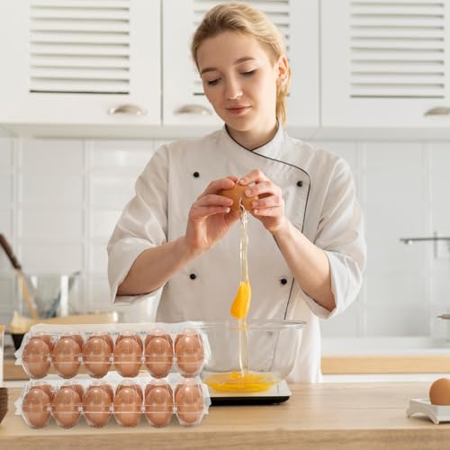 200Pcs Plastic Egg Carton Bulk Empty Clear Egg Tray Holder Container for Farm Business Market Home Kitchen Refrigerator Storage