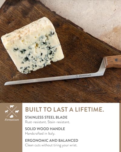 Professional Cheese Knife