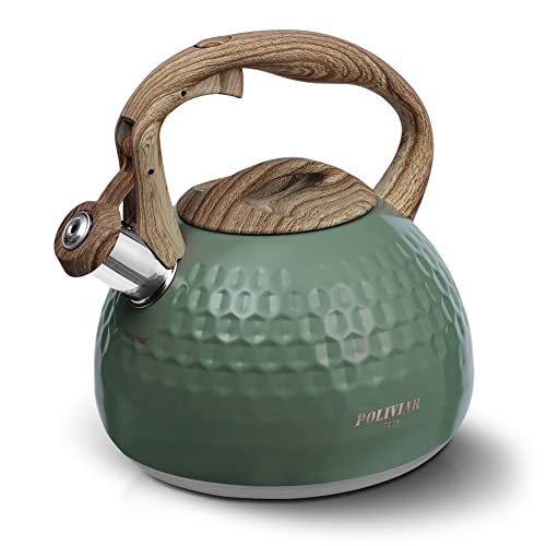 POLIVIAR Tea Kettle