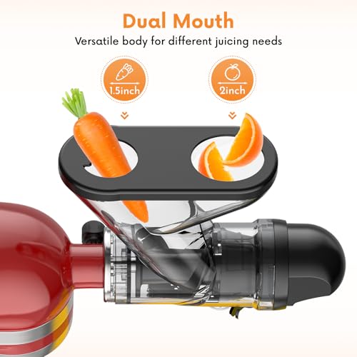 Juicer Attachment for Kitchenaid