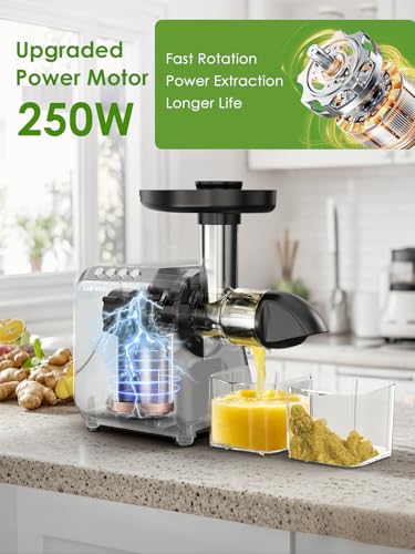 Wheatgrass Juicer Slow Masticating Juicer Machine Cold Press Juicer Extractor Easy To Clean for Vegetables & Fruits
