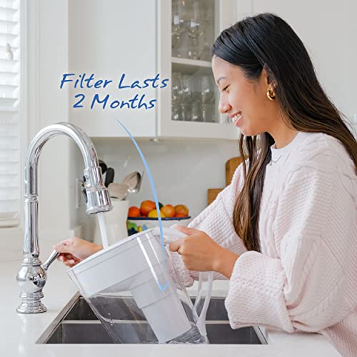 Alkaline Pitcher