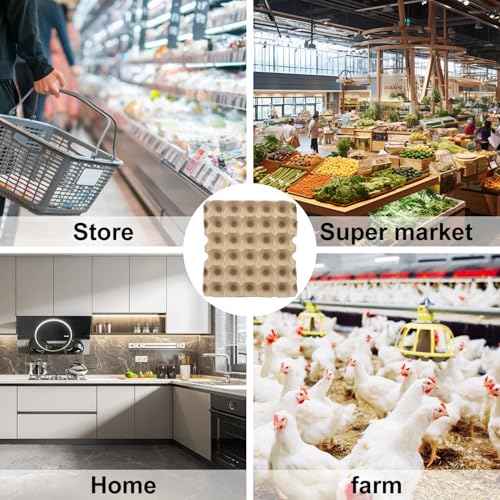 Egg Cartons Paper Egg Cartons