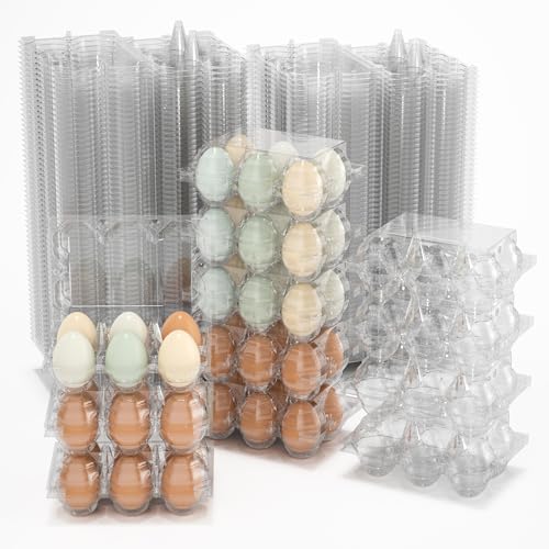 Egg Cartons Cheap Bulk Plastic Egg Carton for Chicken Eggs