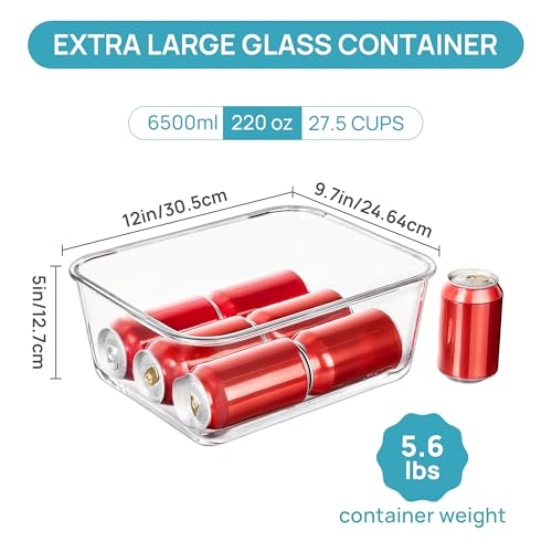 Extra Large Glass Food Storage Containers