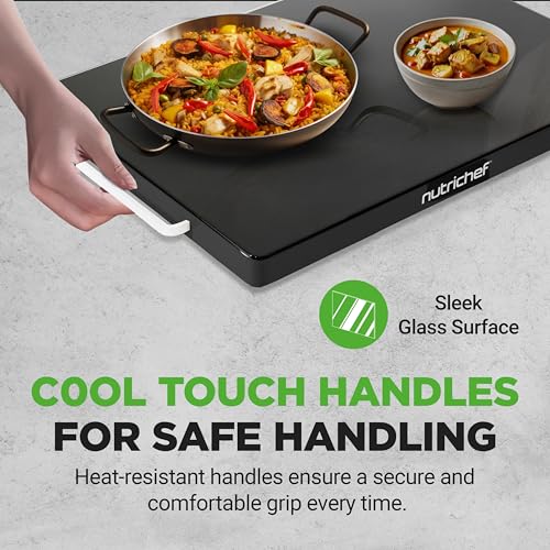 Electric Warming Tray
