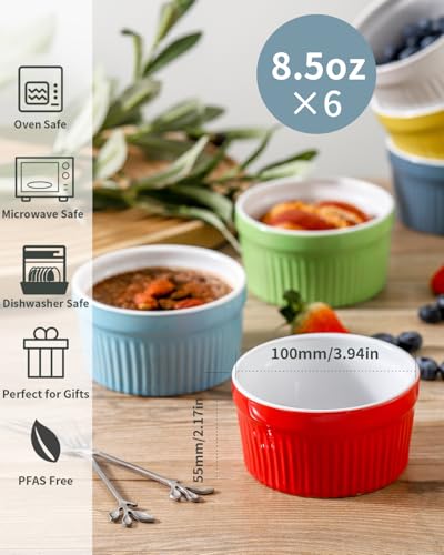 Creme Brulee Ramekins Set of 6