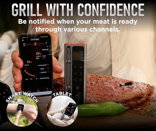 WiFi and Bluetooth Meat Thermometer Digital Wireless