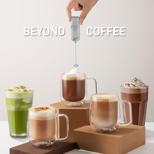 Milk Frother Mini